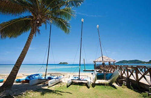 Nadi Resort | Ocean turtles, tropical fish, beautiful coral!