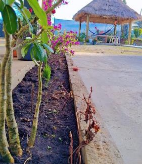 Sonaisali Island Apartment | Singh Apartments
