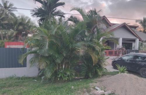 Pacific Harbour House | Villa 820