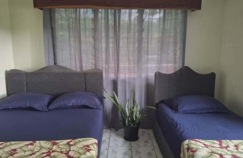 Nadi House | Yaubula Bed and Breakfast Homestay