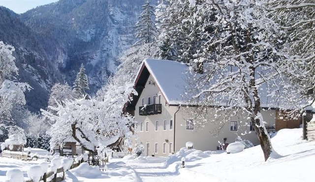 Bluntaumühle - Apartment Bluntaum��hle in Golling an der Salzach