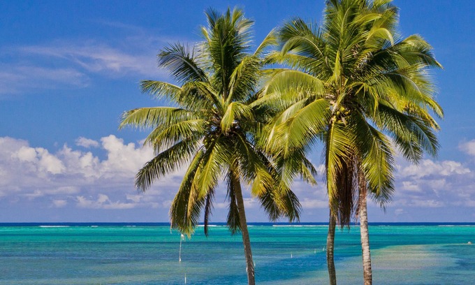 Deuba Resort | Waidroka Bay Resort