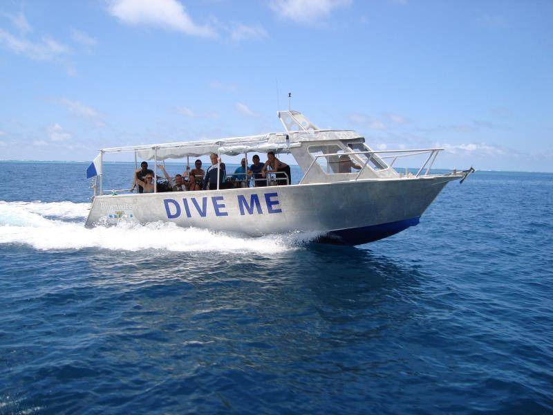 Photo of Others in Tavuki