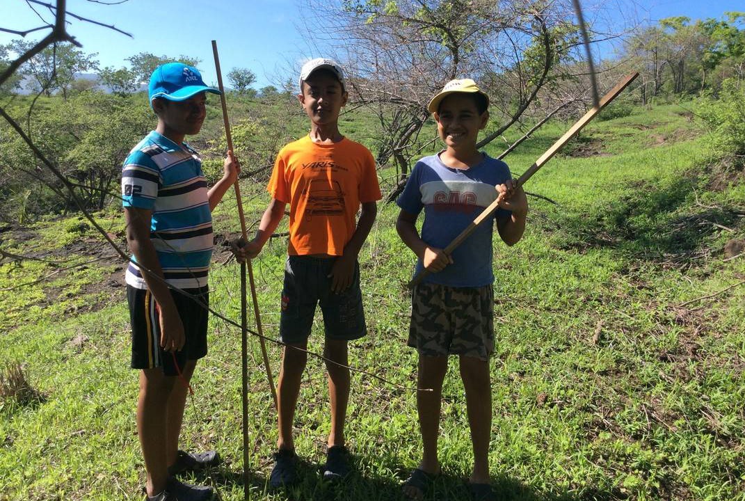 Photo of Others in Tavua