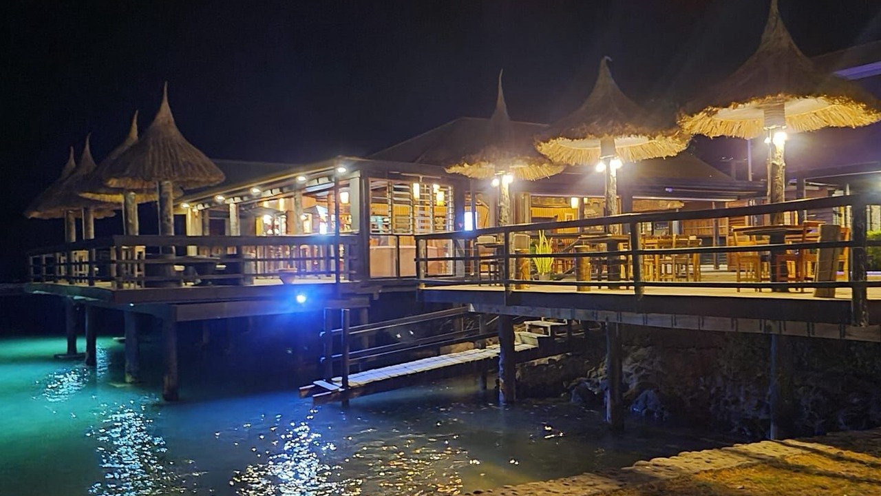 Photo of Outdoor in Sunshine Coast