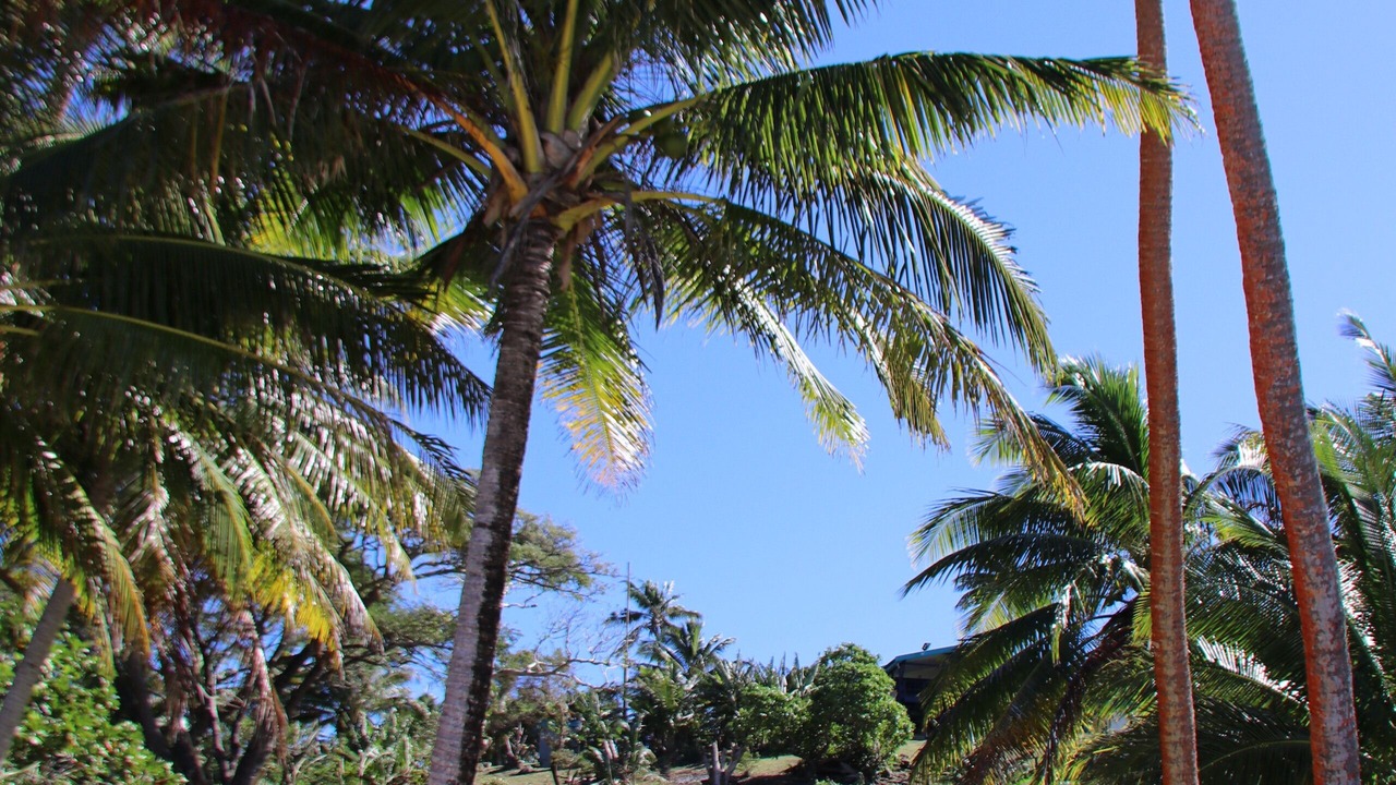 Photo of Others in Likuri Island