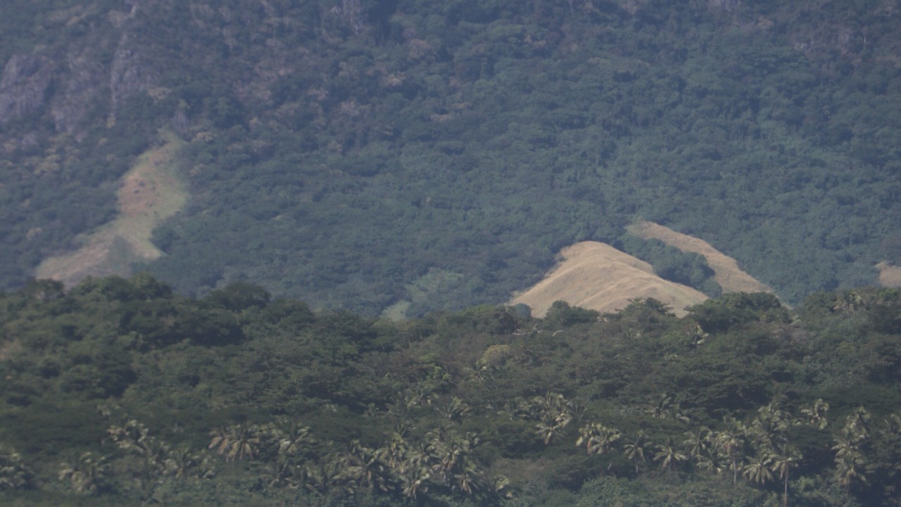 Photo of Others in Likuri Island