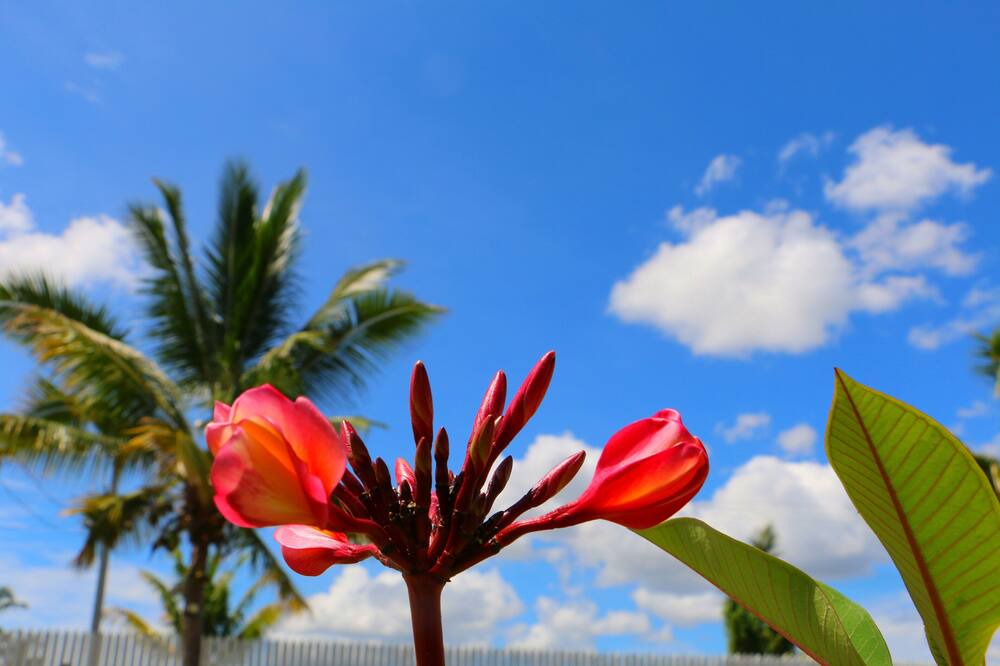 Photo of Outdoor in Nadi