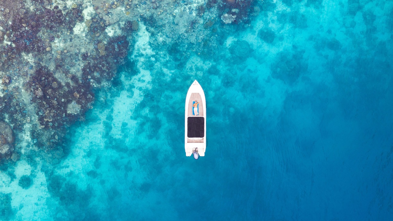 Photo of Others in Royal Davui Island