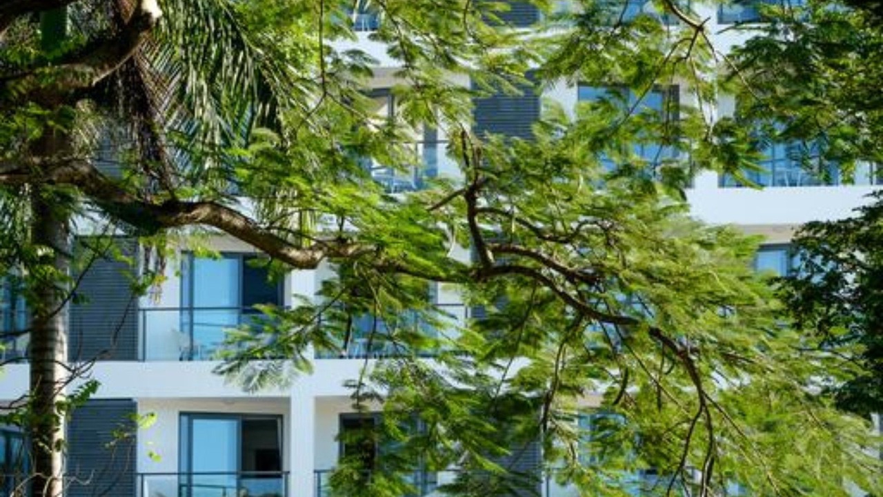 Photo of Outdoor in Martintar