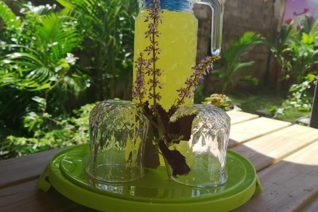 Photo of Outdoor in Suva