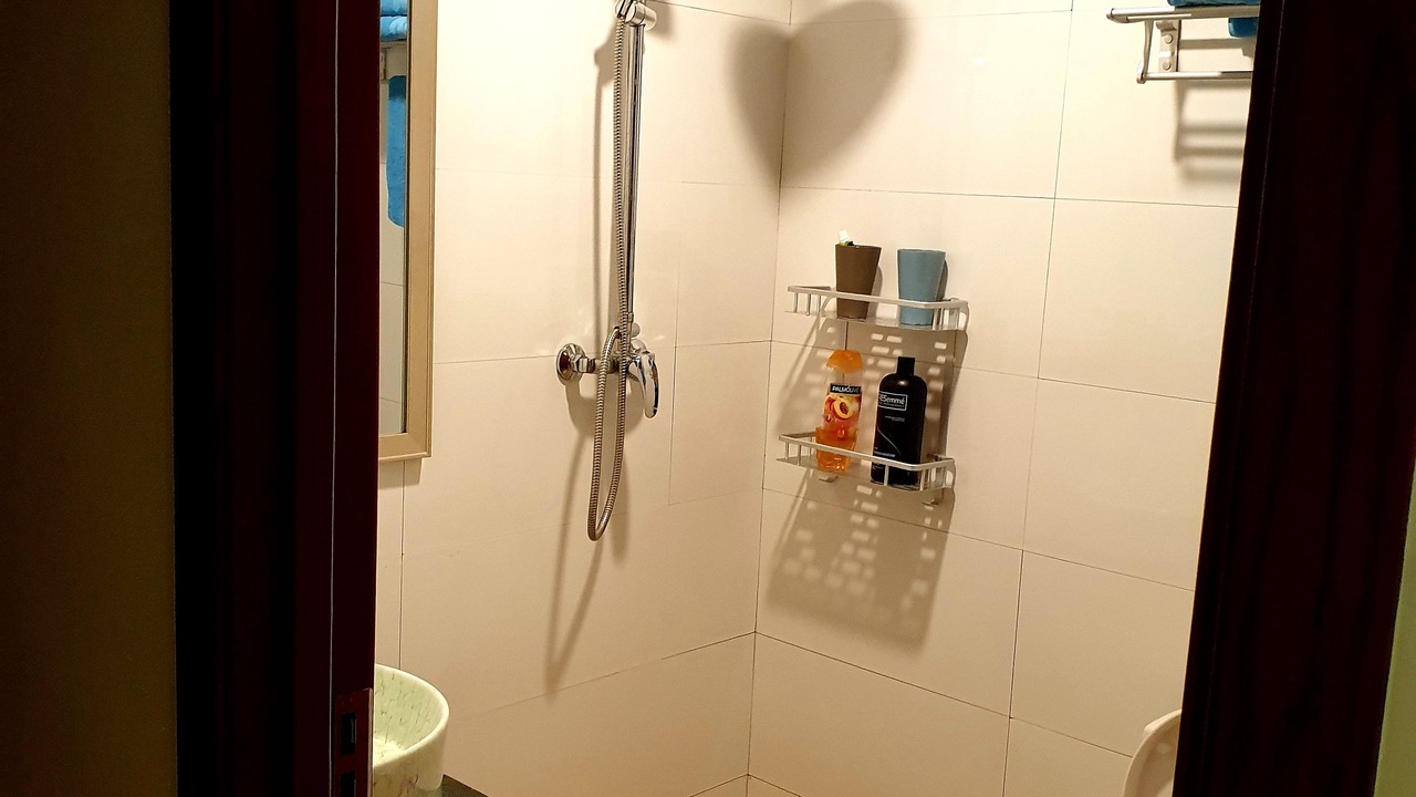 Photo of Bathroom in Suva