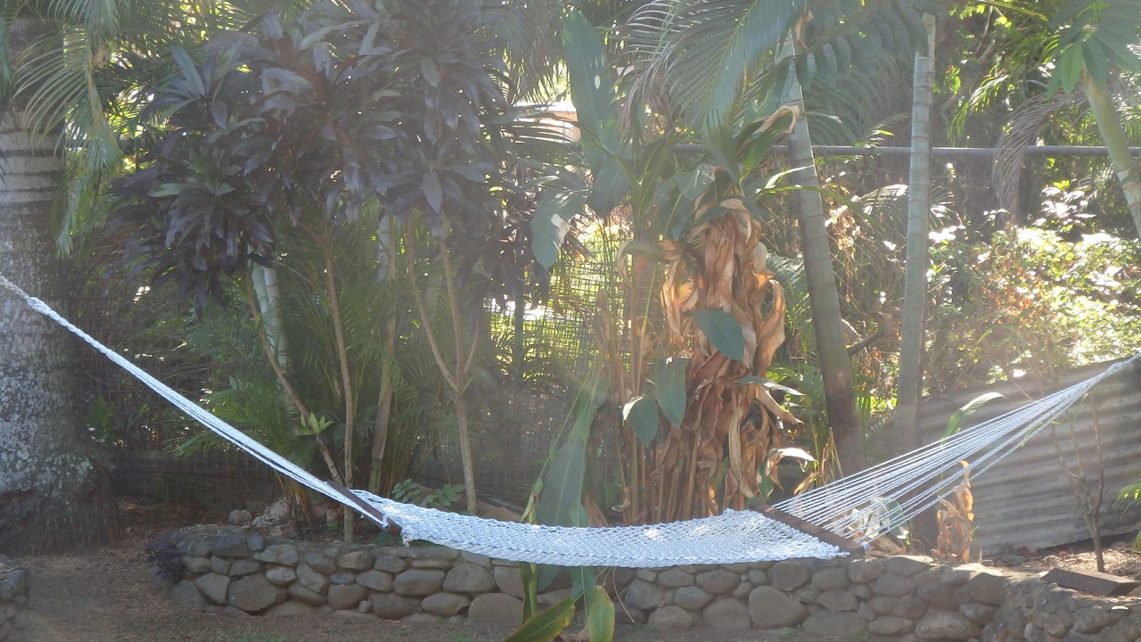 Photo of Outdoor in Wailoloa