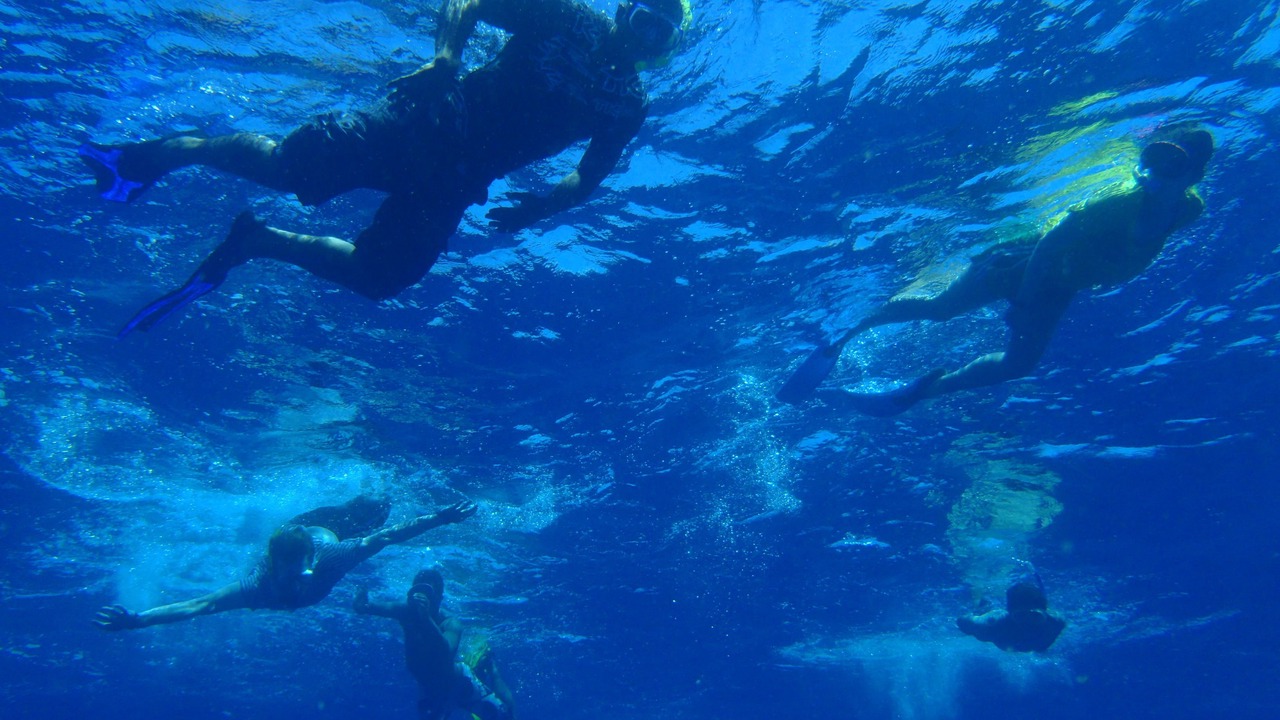Photo of Others in Wailoloa