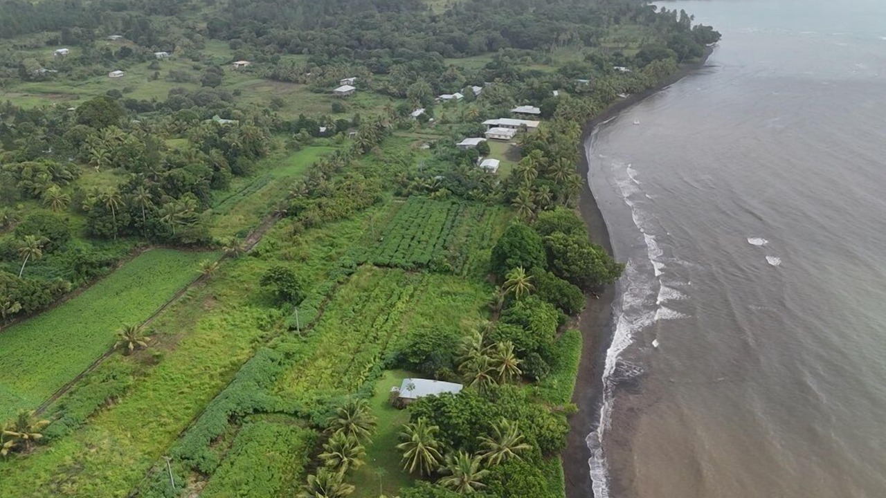 Photo of Outdoor in Rukuruku