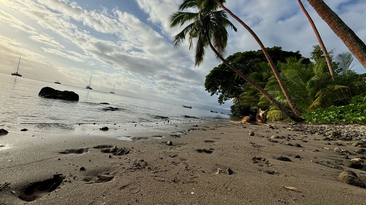 Photo of Others in Savusavu