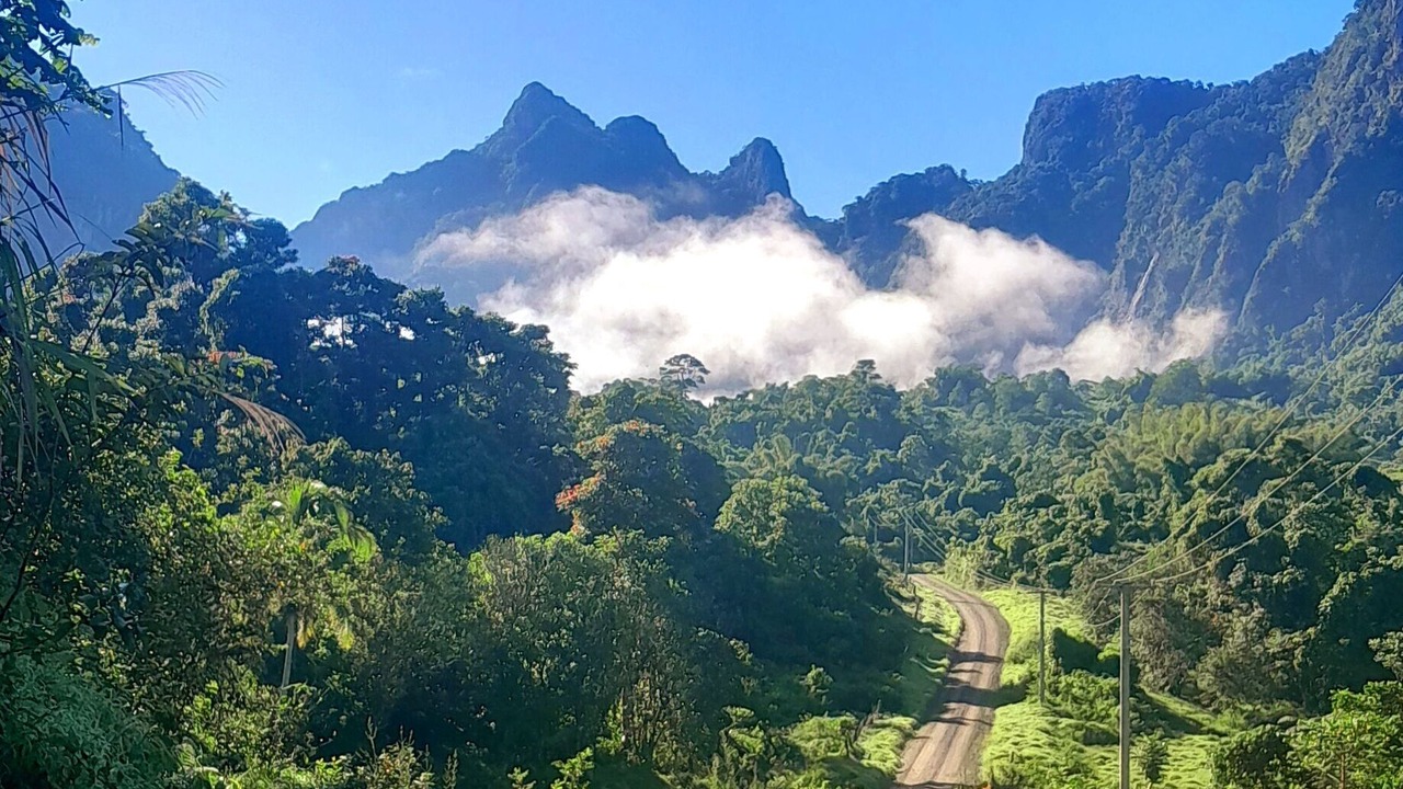 Photo of Outdoor in Namosi