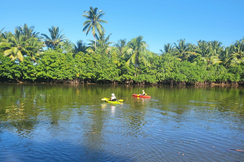 Photo of Outdoor in Pacific Harbour