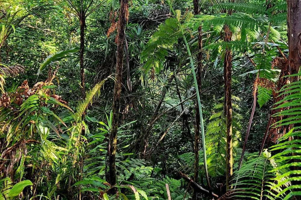Photo of Outdoor in Deuba