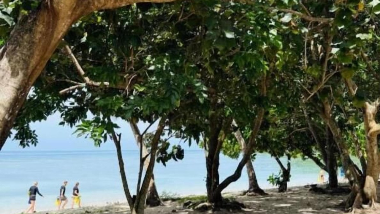 Photo of Others in Naviti Island
