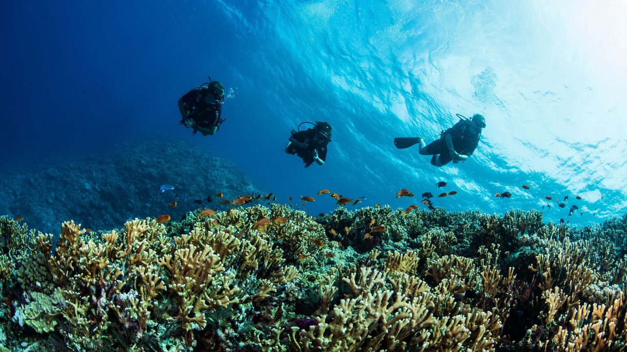 Photo of Others in Yakuve Island