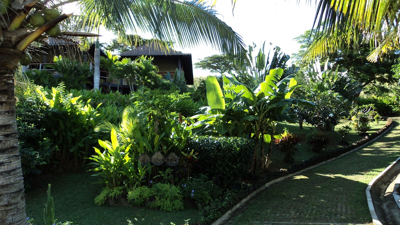 Photo of Outdoor in Malolo Lailai Island