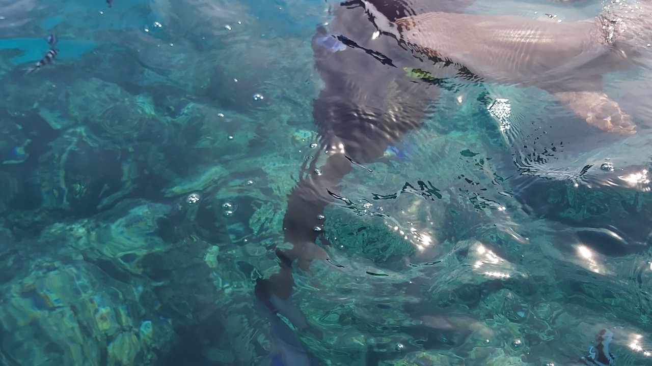 Photo of Outdoor in Wayasewa Island