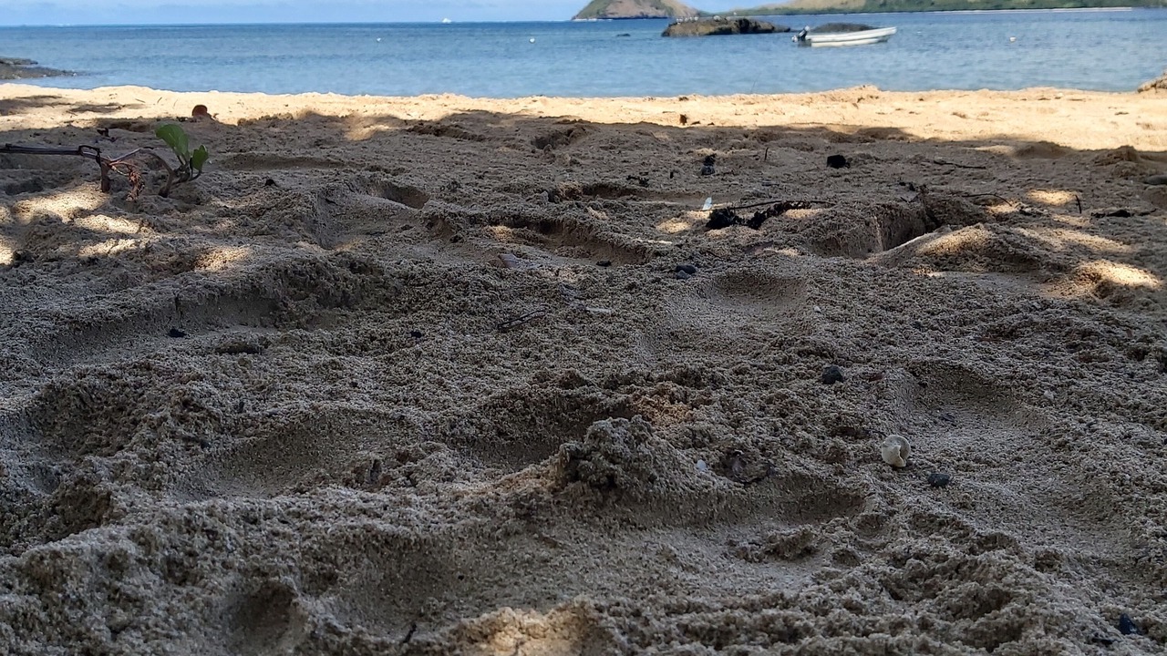 Photo of Others in Wayasewa Island