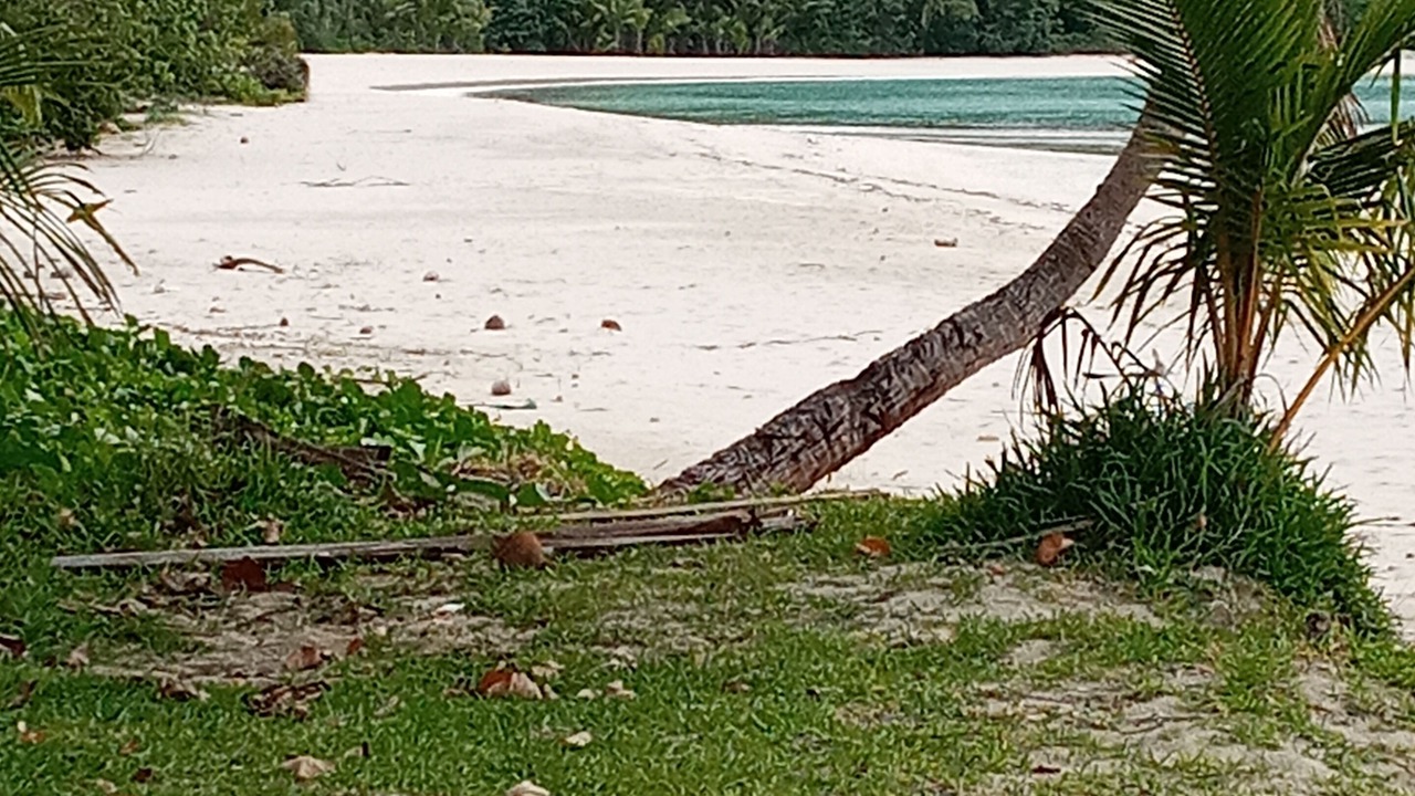 Photo of Others in Wayasewa Island