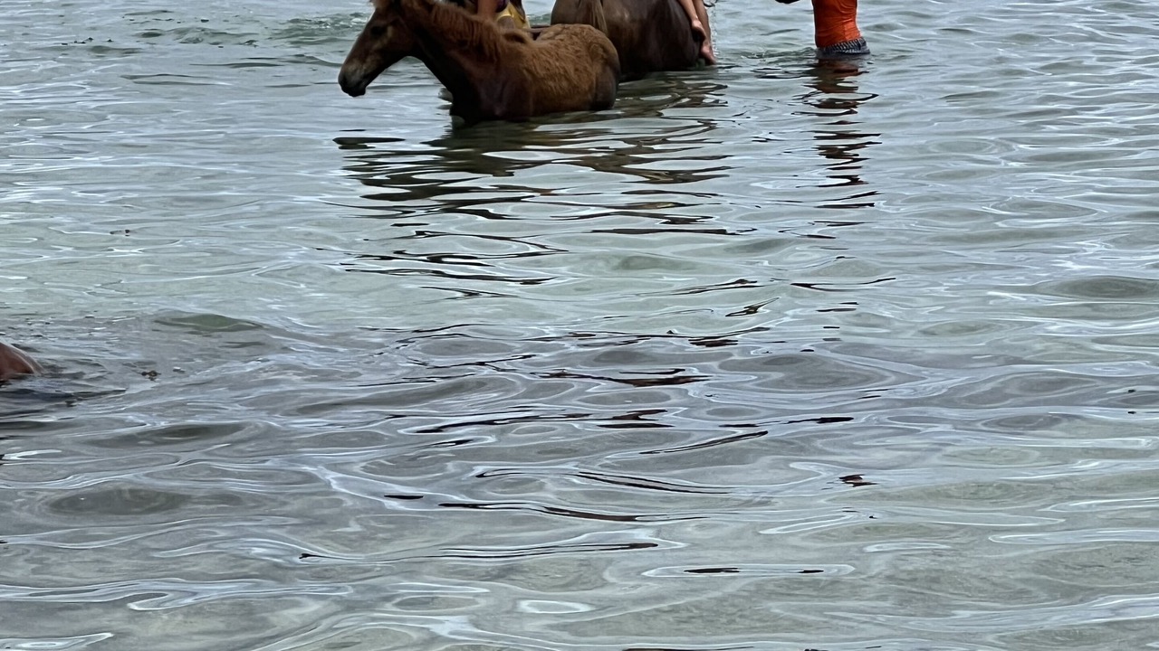 Photo of Others in Likuri Island