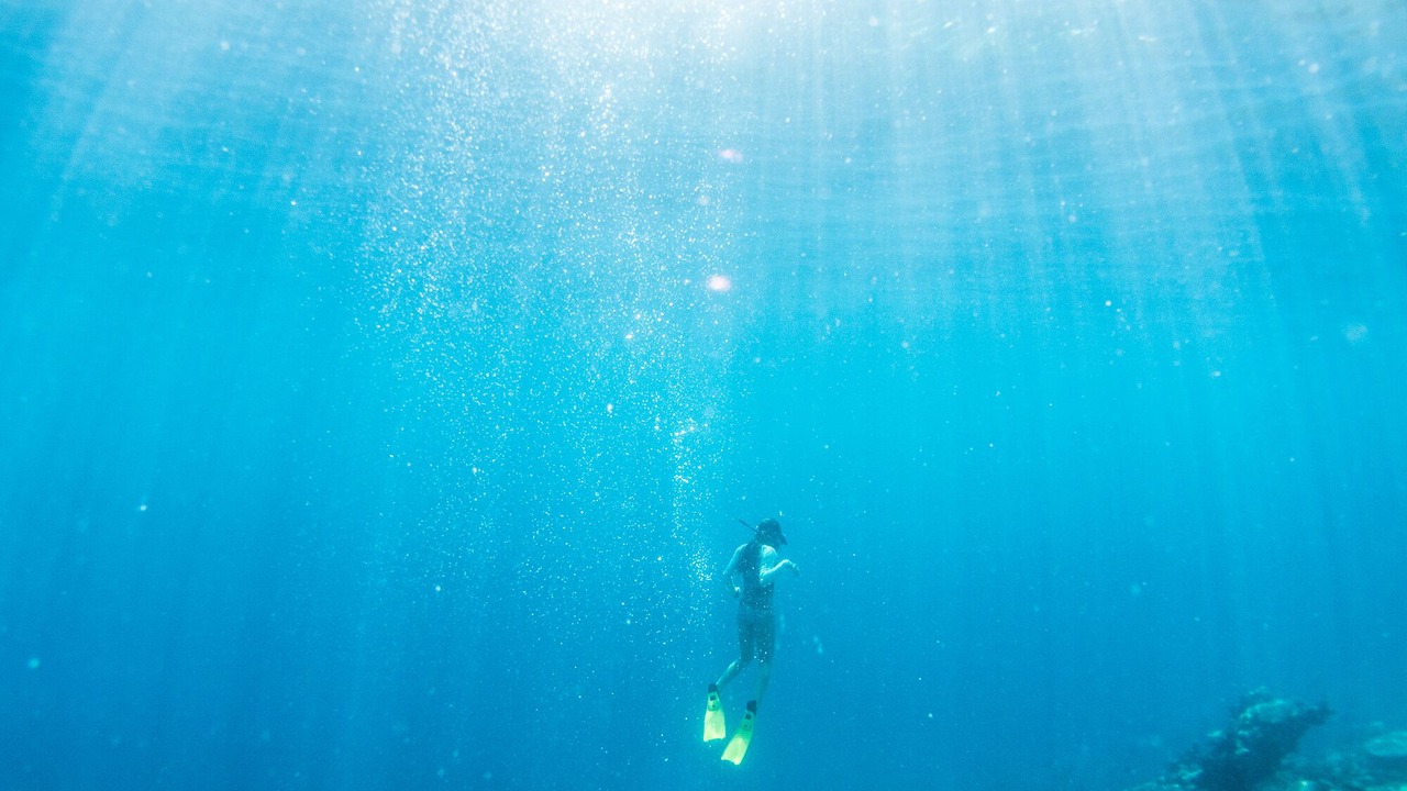 Photo of Outdoor in Qamea Island