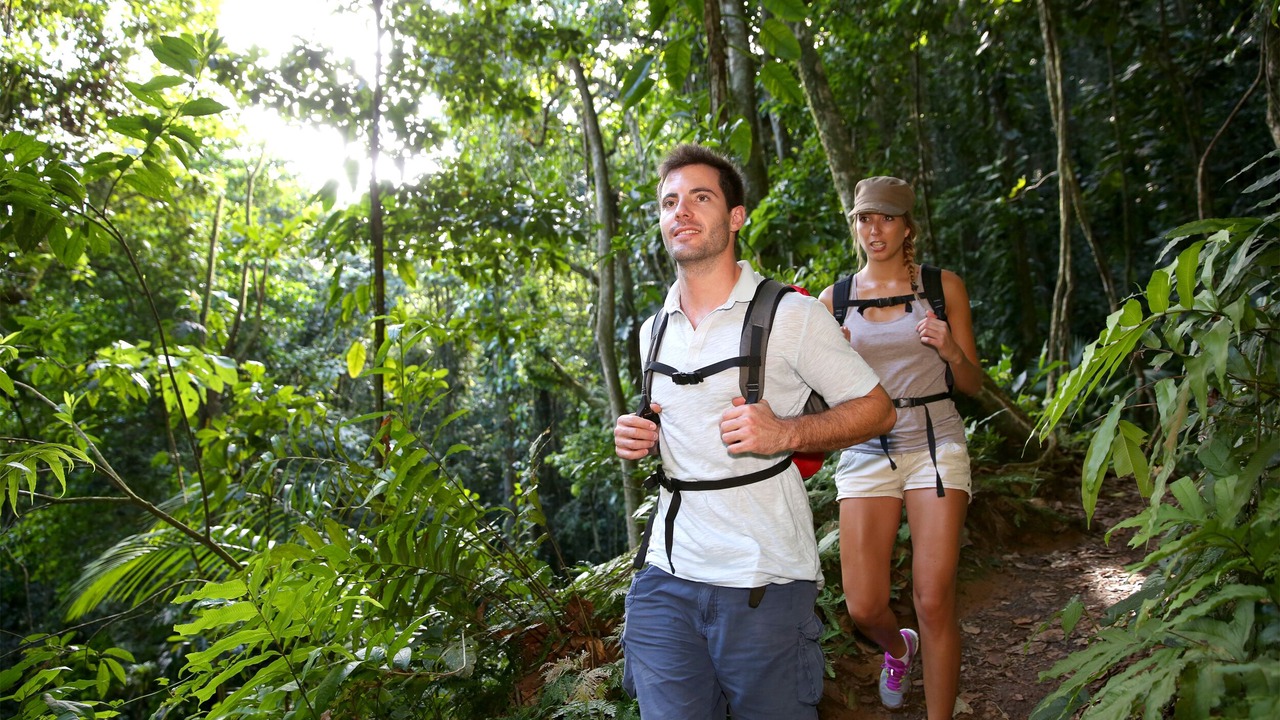 Photo of Outdoor in Qamea Island
