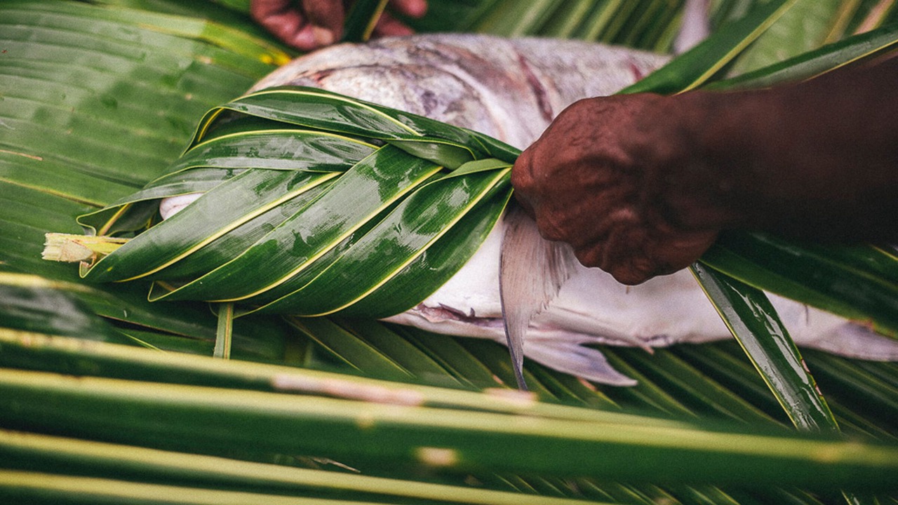 Photo of Others in Qamea Island