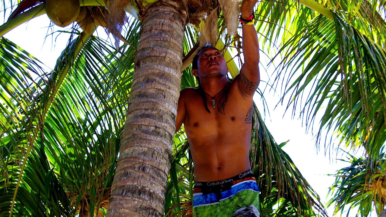 Photo of Outdoor in Qamea Island