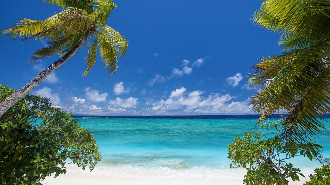 Photo of Others in Qamea Island