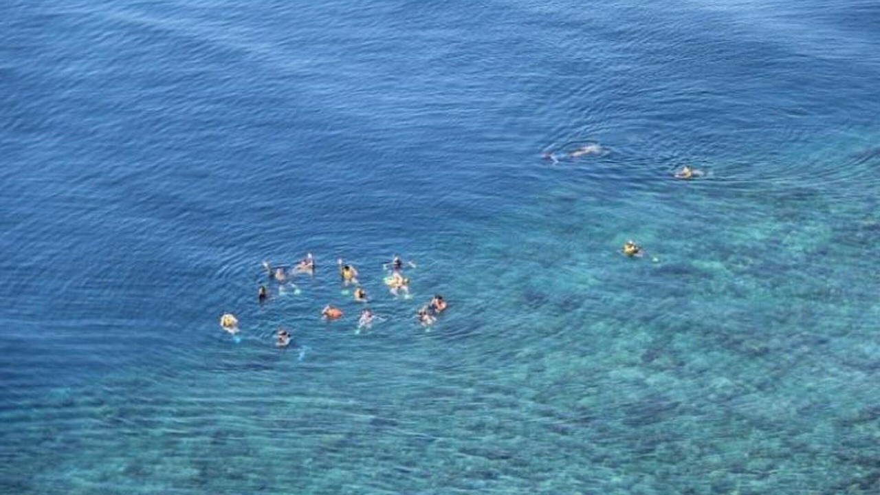 Photo of Outdoor in Pacific Harbour