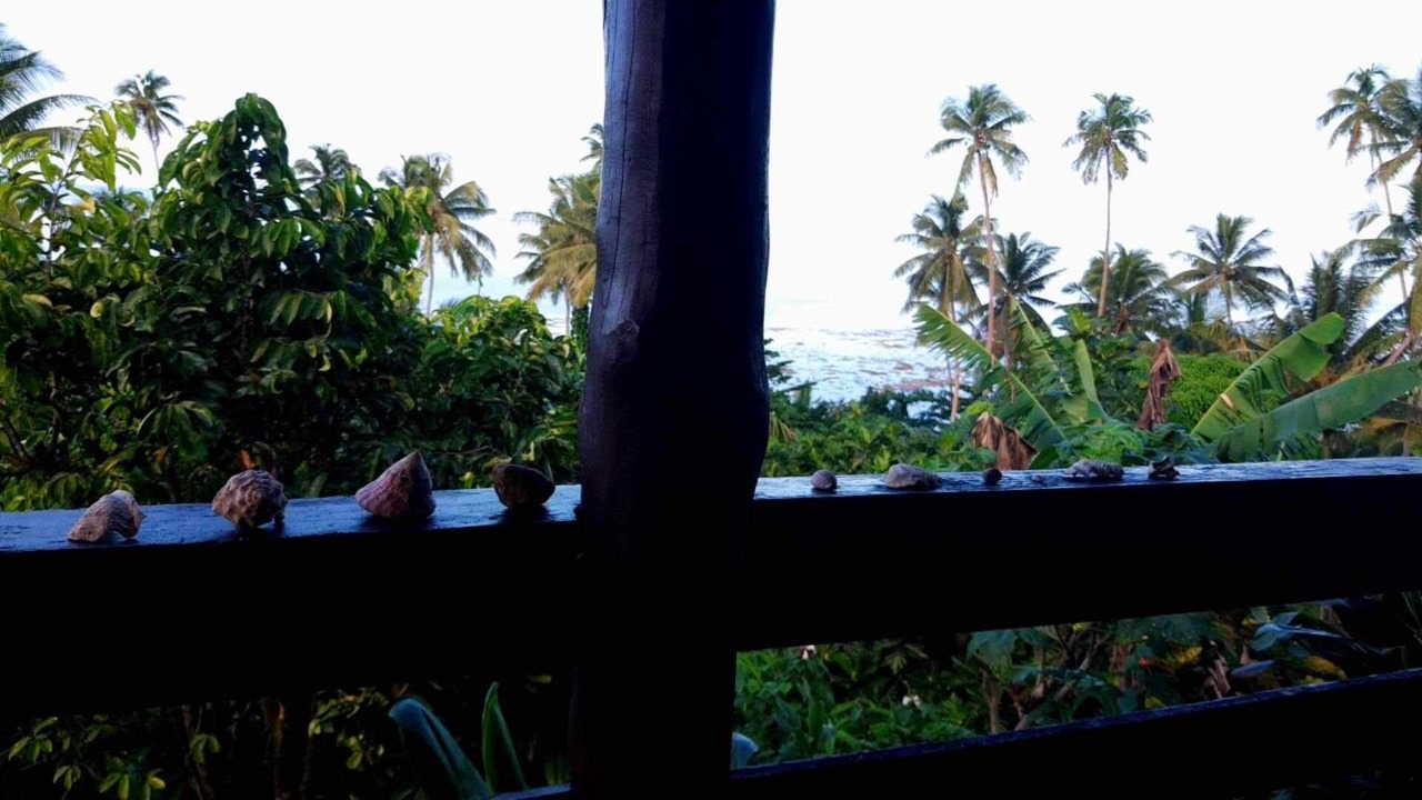 Photo of Outdoor in Savusavu