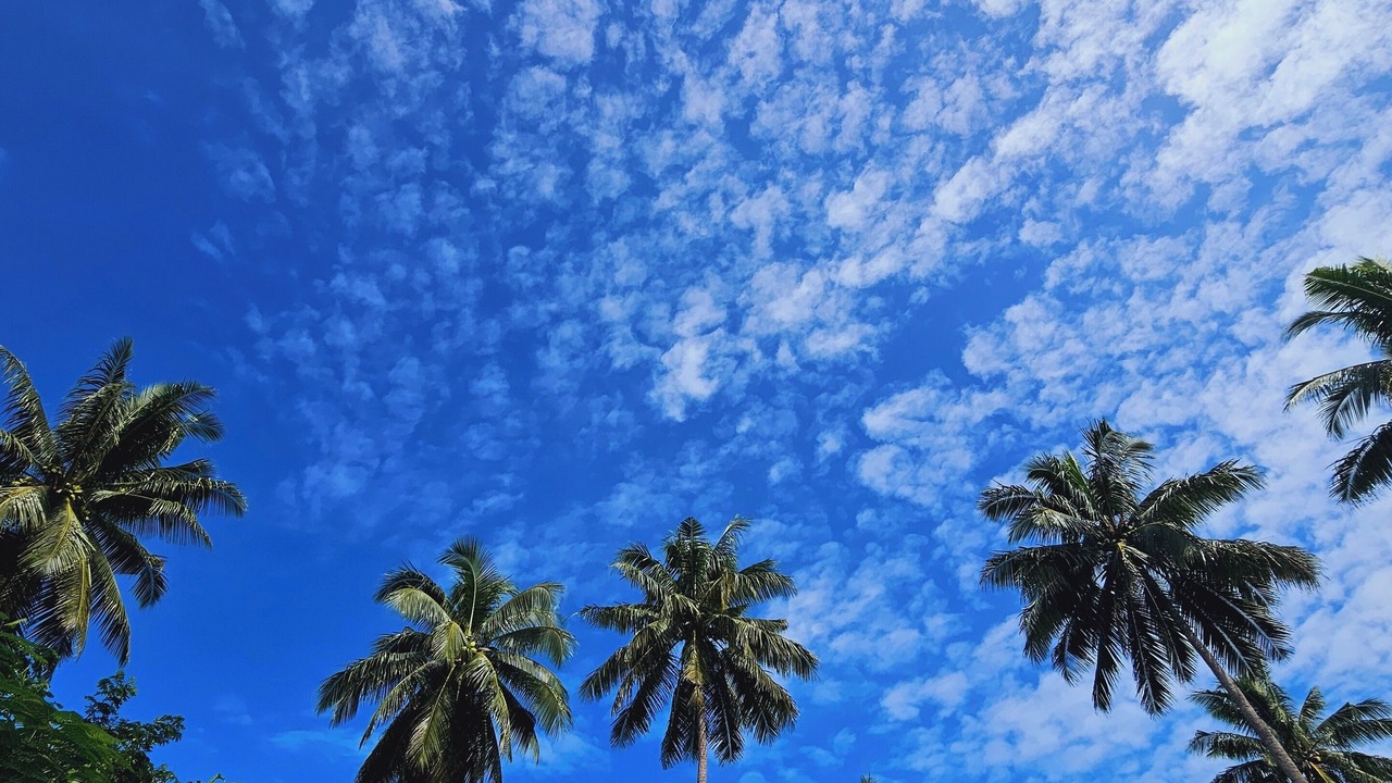 Photo of Others in Savusavu
