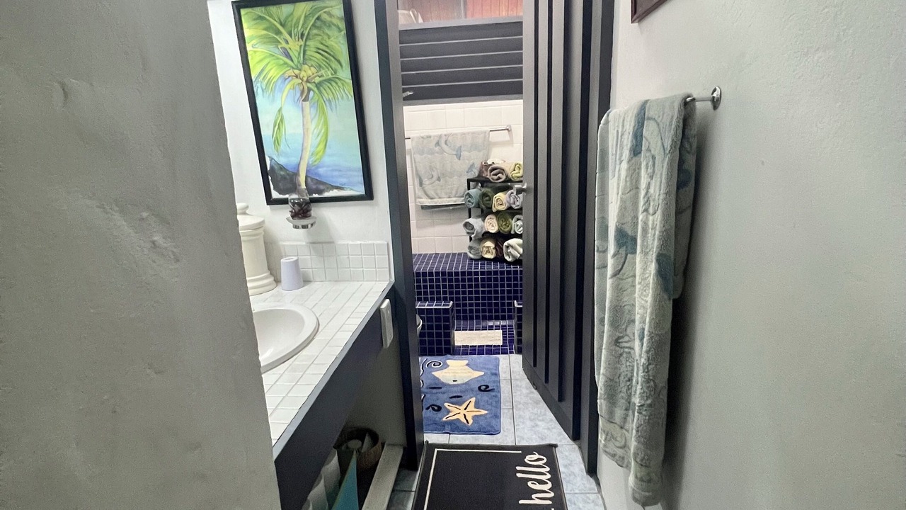 Photo of Bathroom in Pacific Harbour