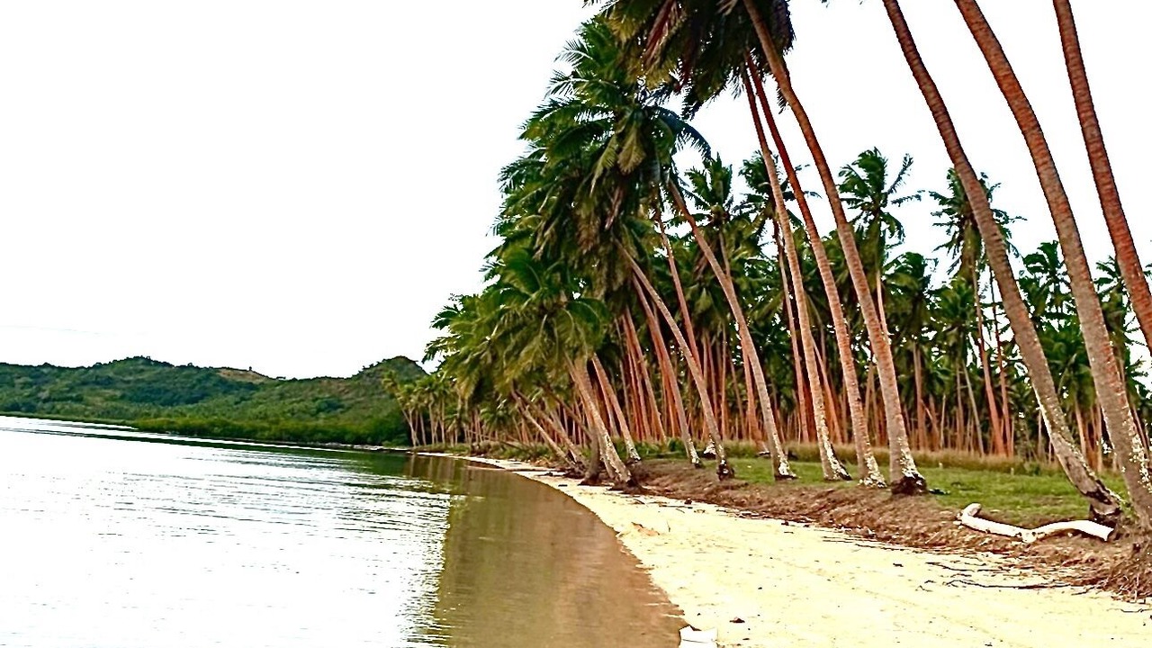 Photo of Others in Nadi