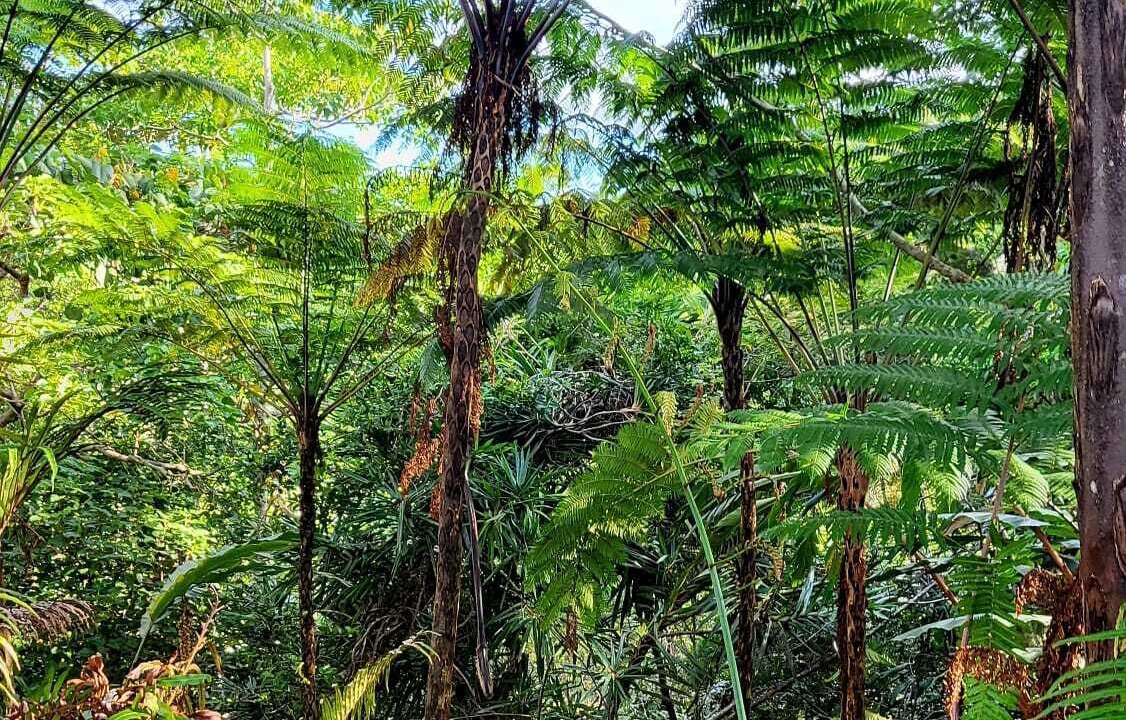 Photo of Outdoor in Deuba