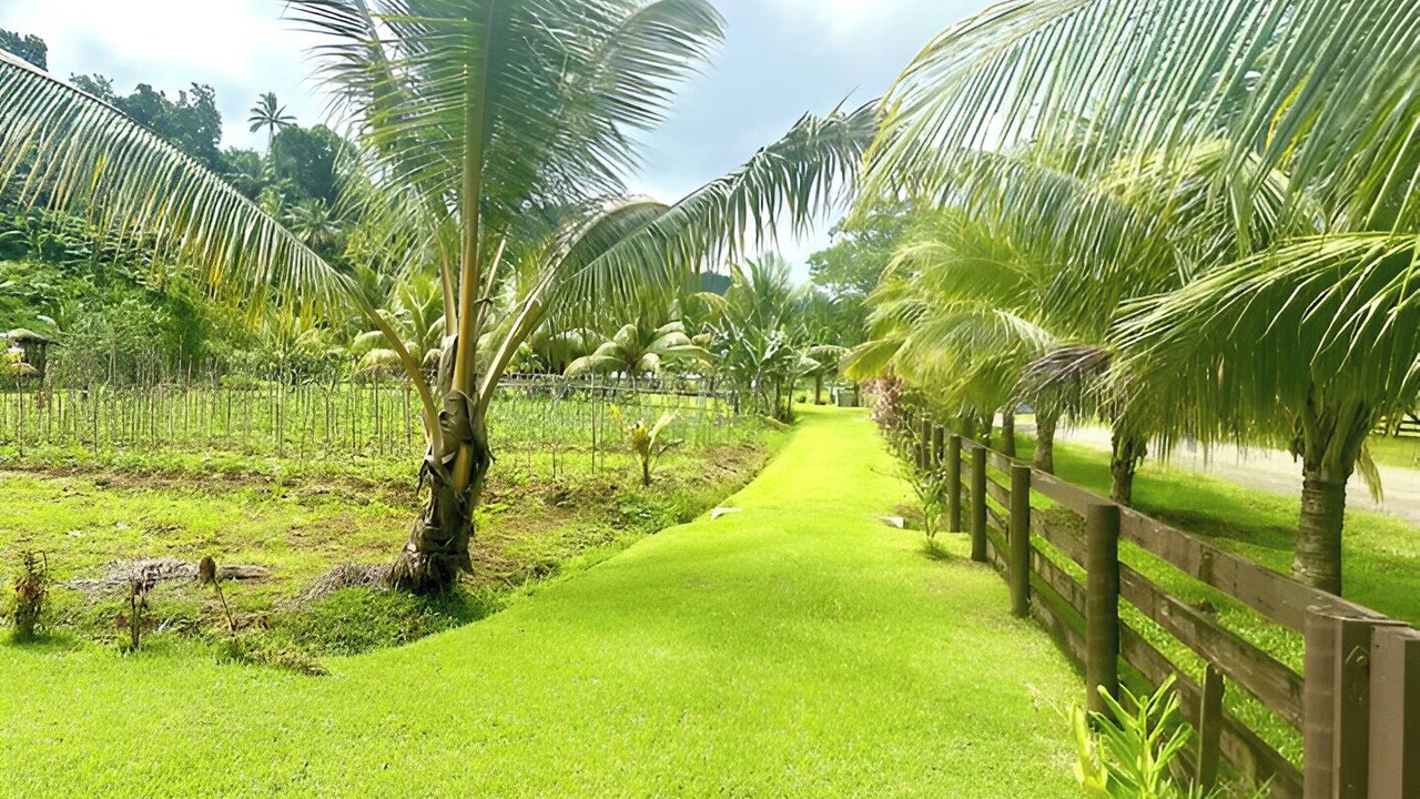 Photo of Outdoor in Northern Division