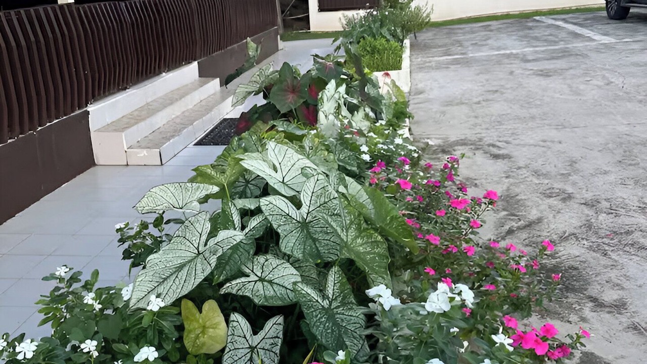 Photo of Outdoor in Labasa