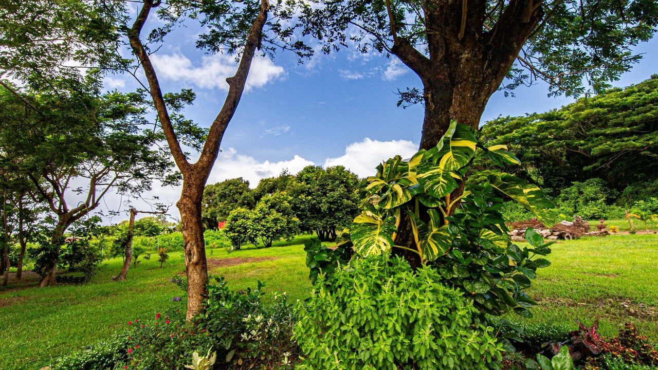 Photo of Outdoor in Sigatoka