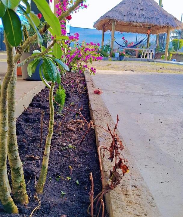 Photo of Others in Sonaisali Island