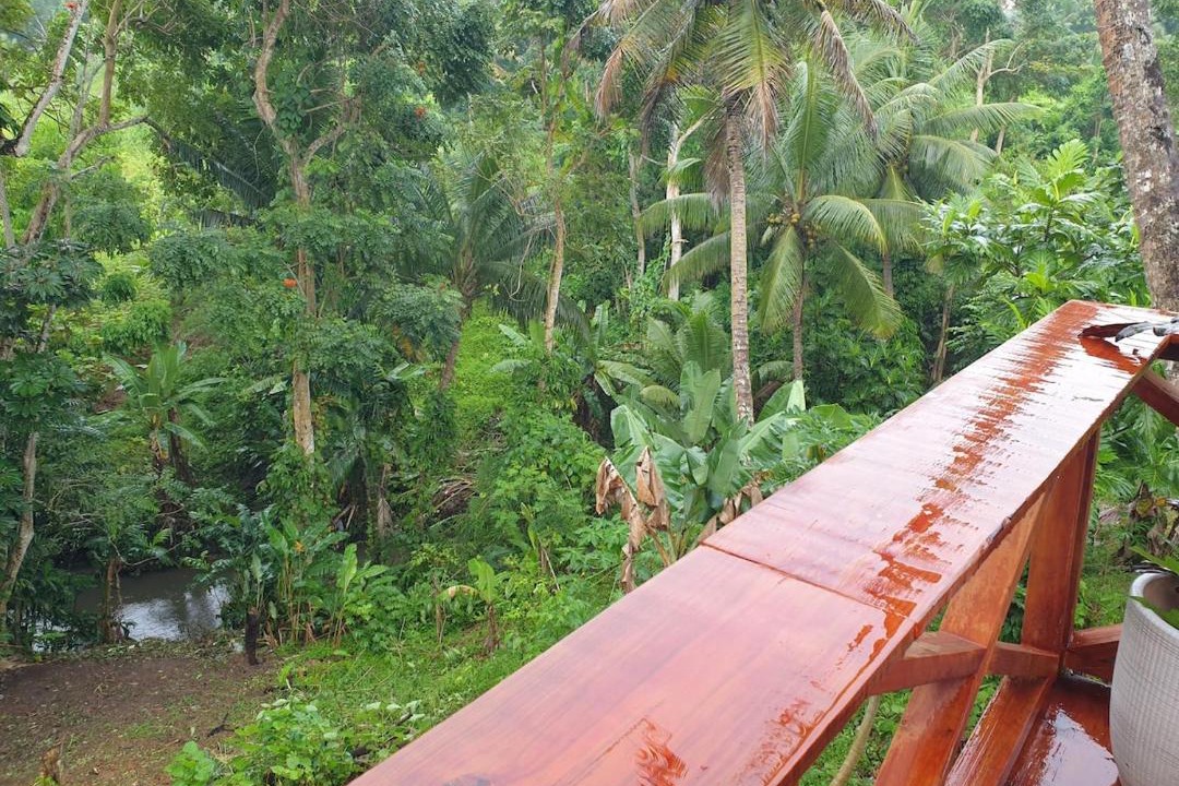 Photo of Others in Suva