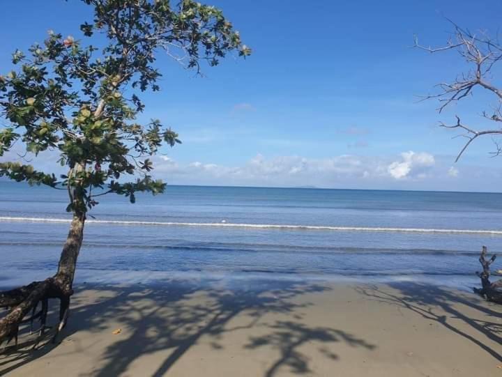 Photo of Others in Pacific Harbour