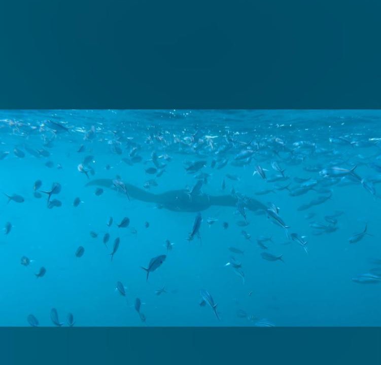 Photo of Others in Korolevu