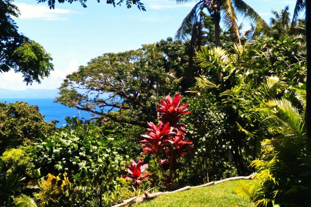 Photo of Others in Savusavu
