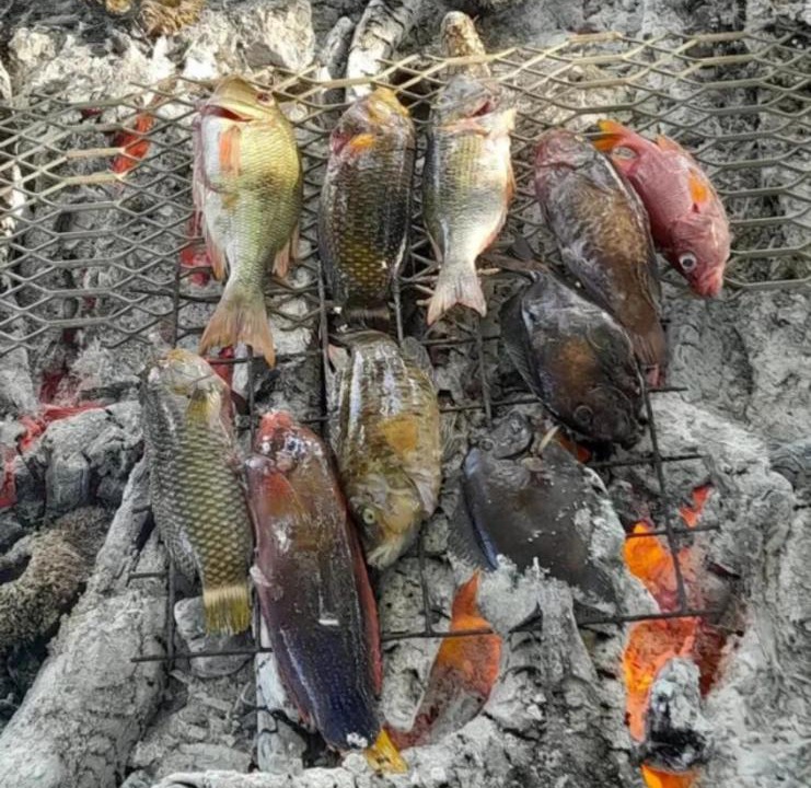 Photo of Others in Namatakula